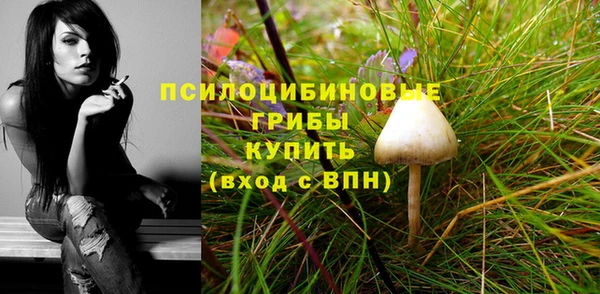 mix Бородино