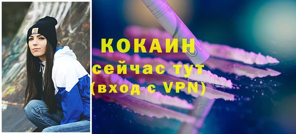 mix Бородино