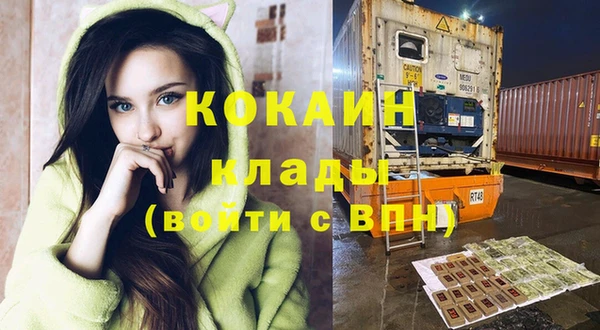 бошки Бронницы