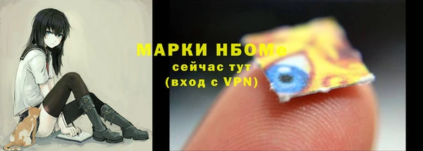 бошки Бронницы