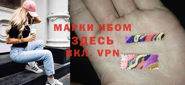 бошки Бронницы